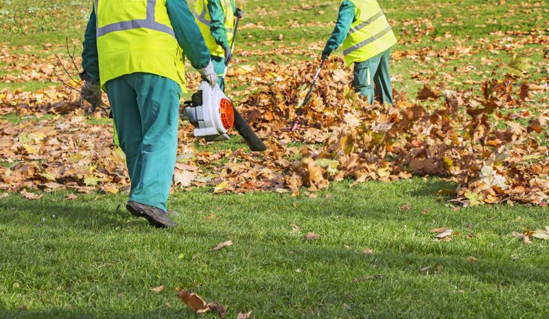 Clear Yard with Leaf Blower