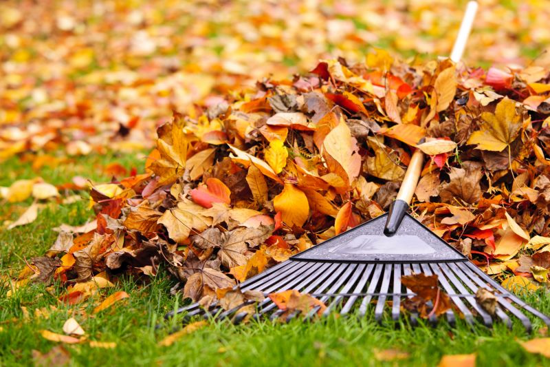 Fall Yard Maintenance