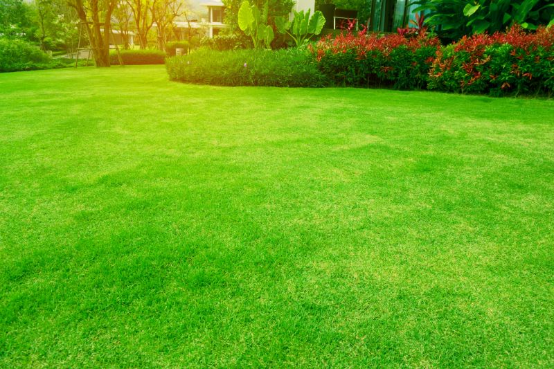 Lawn Treatment