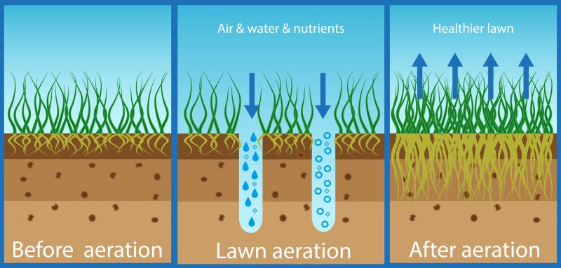 Lawn Aeration Process