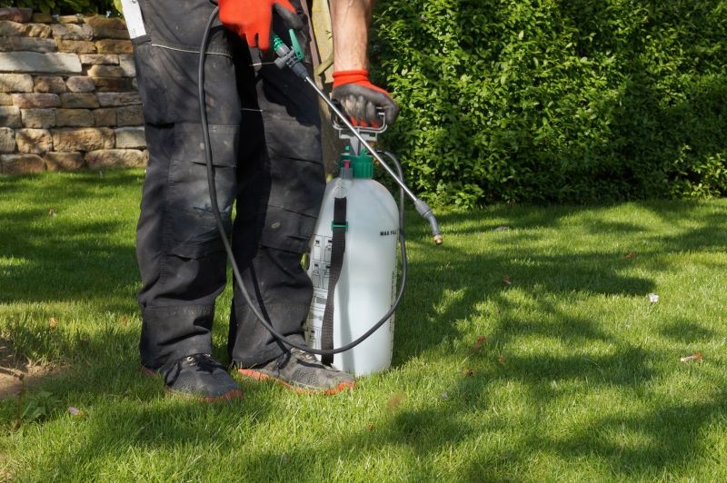 Spring Lawn Care