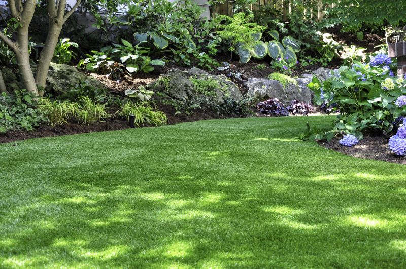 Healthy Lawn