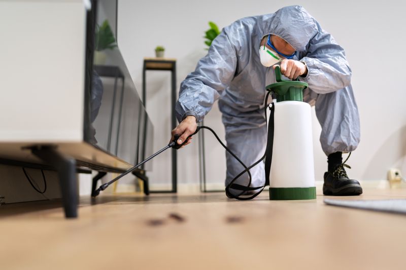 Pest Control Treatments