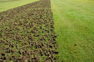 Get Lawn Aeration Service!