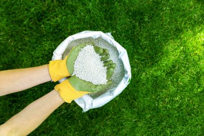 Get Lawn Fertilization Service!