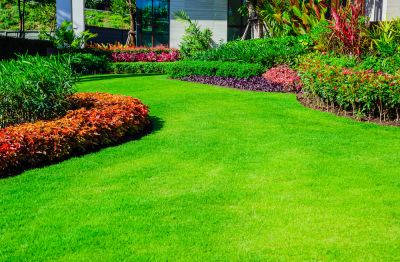 Improve the Health of Your Lawn!